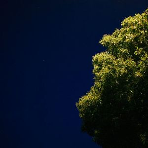 《日常星光》