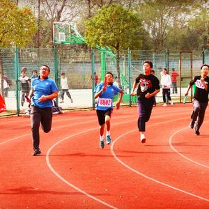 向着太阳飞翔（平桥镇中学校歌）