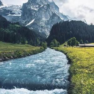 点击小黄车直接购买