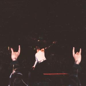Hardy Boy