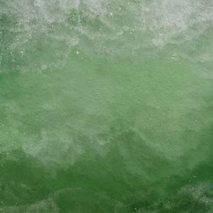 告白是最温柔的离别