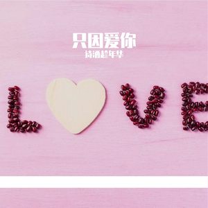 只因爱你