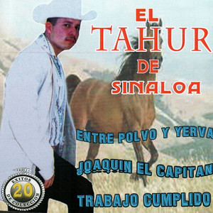 Aqui Estoy Mi General