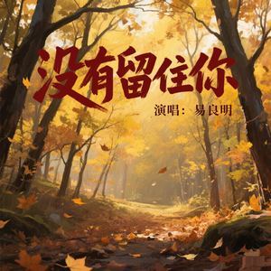 没有留住你