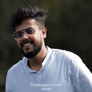 Thaabangale (cover)