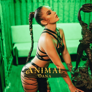 Animal