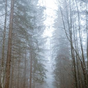 雨中的山路（无雨声版）
