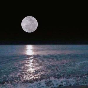 在这覆盖了命运的夜里