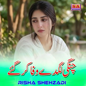 Dil Sheeshay Wang