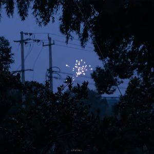 MTT （世界哼 ）