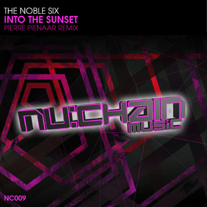 Into The Sunset (Pierre Pienaar Radio Edit)