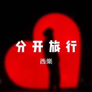 分开旅行