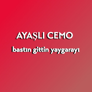 Bastın Gittin Yaygarayı