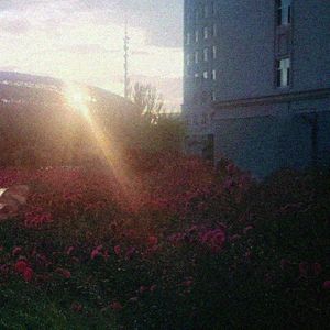 DOREA555-小孩子不懂事写着玩的低脂冯客（翎彐火火子 remix）