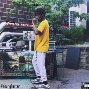 Heat For The Streets Vol. 14
