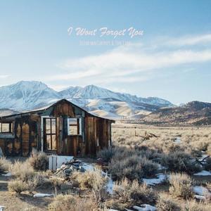 I Won't Forget You (Mexico)