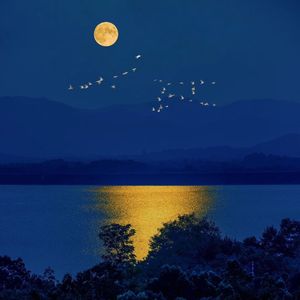 月亮爬上了山坡 伴奏