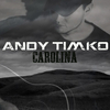 Andy Timko - Sweet Tea