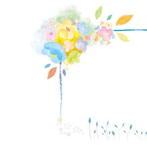 五颜六色的花朵 (8)