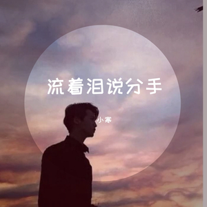 流着泪说分手