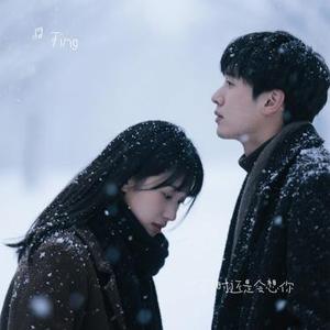 雪落下时还是会想你