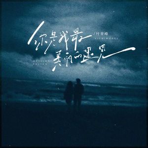 你是我最美丽的遇见（DJ版）