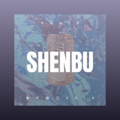 心里难过唱情歌 (DJ版)