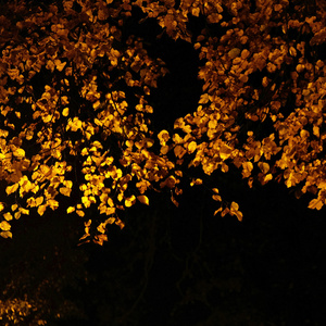 그리움, 잠 못드는 밤