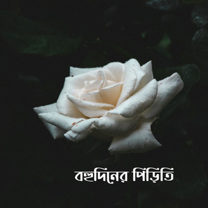 বহুদিনের পিড়িতি