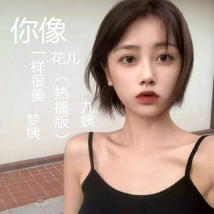 你像花儿一样很美