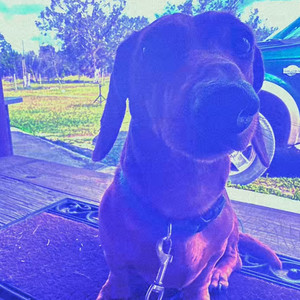 DAYS BEFORE UGO LORD 5