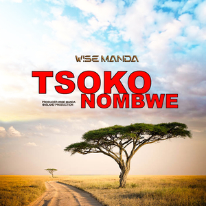 SOKONOMBWE