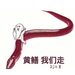 快手红人热播 (DJ版)