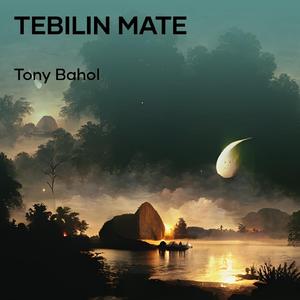 Tebilin Mate