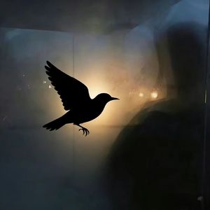 两袖清风怎敢误佳人