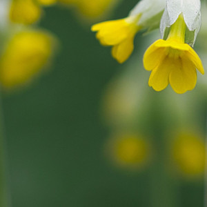 我懂的感觉（6）