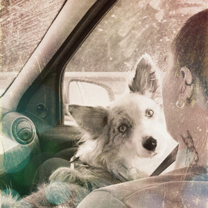 Дофаминовая яма