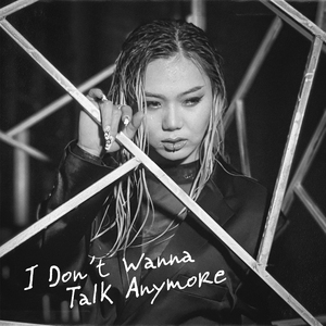 I Don’t Wanna Talk Anymore
