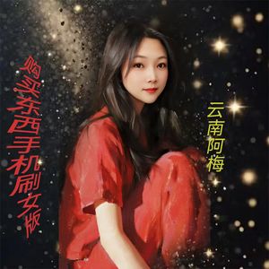 购买东西手机刷女版