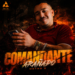 Comandante Arañado Metro 2