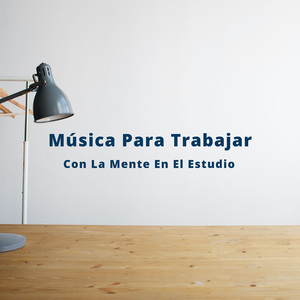 Absorción Del Conocimiento