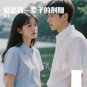 爱是我一辈子的刑期