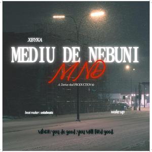 Mediu de Nebuni