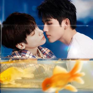 飞云系（翻自 aimer）