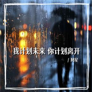 我计划未来你计划离开