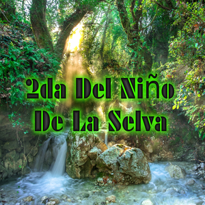2Da del Niño de la Selva