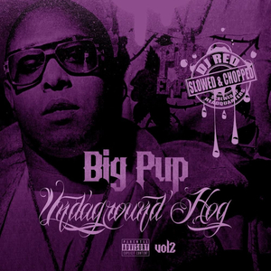 What About You (Slowed & Chopped)