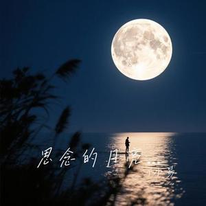 思念的月亮 (Cover 黑大婶回乡带娃)