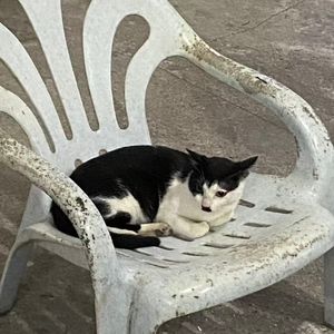 独自撑伞