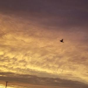 牵着你的手（prod by T.X）Demo